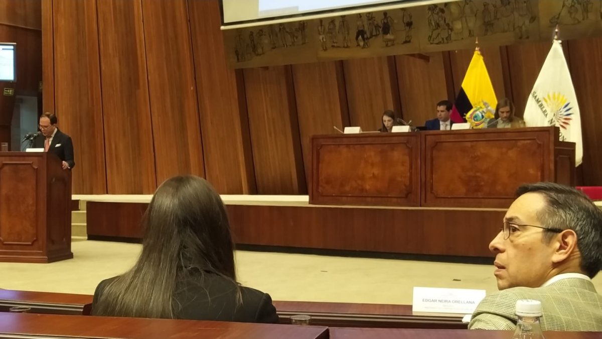 El abogado Gonzalo Muñoz fue el tercer experto en subir al estrado en la Asamblea Nacional.