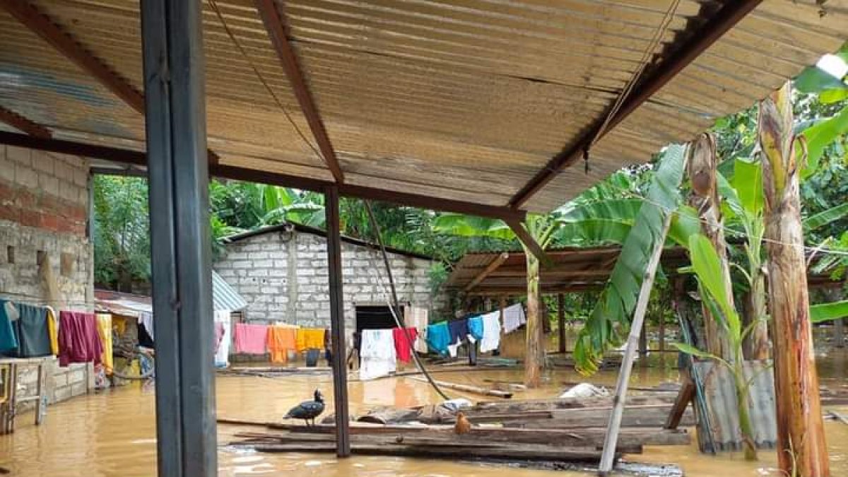 Dato. Las provincias más afectadas son Guayas, Los Ríos, Manabí, Santa Elena, El Oro, Cotopaxi, Santo Domingo, Esmeraldas, Imbabura y Chimborazo.