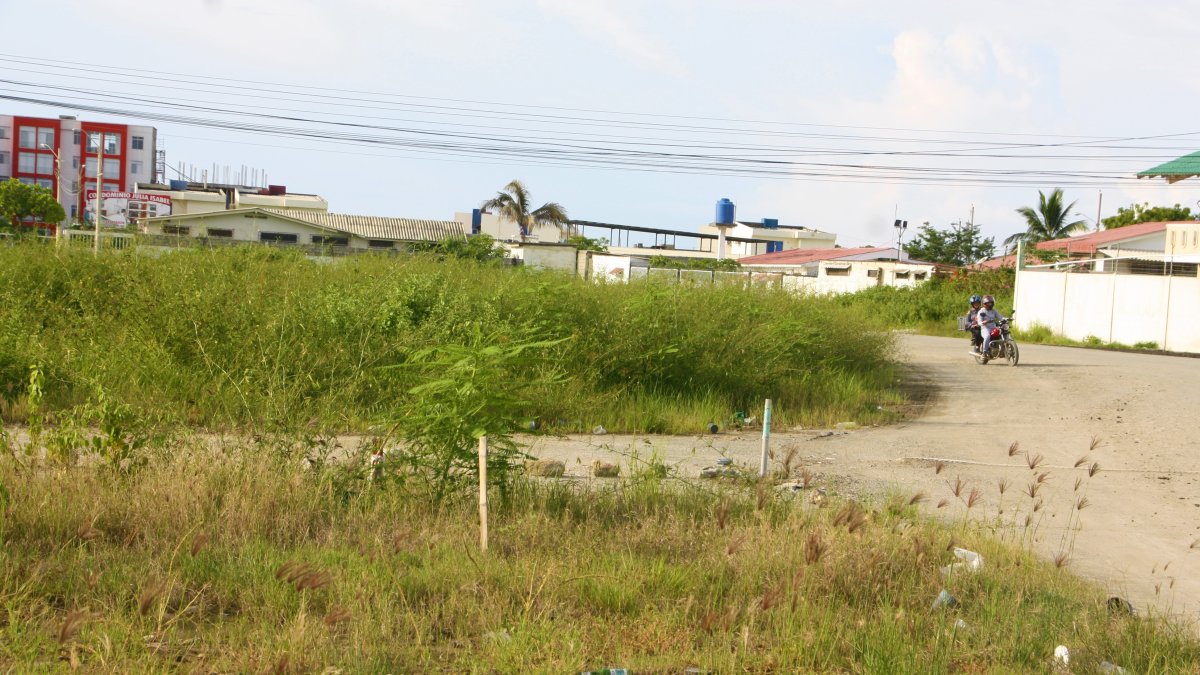 Maleza. En toda la ciudadela, este es el panorama que prevalece. Hay monte crecido en cada esquina y solar.