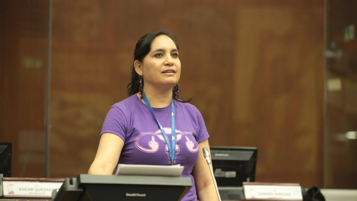 Mireya Pazmiño es una de los cuatro legisladores que impulsan el juicio político al presidente Guillermo Lasso.