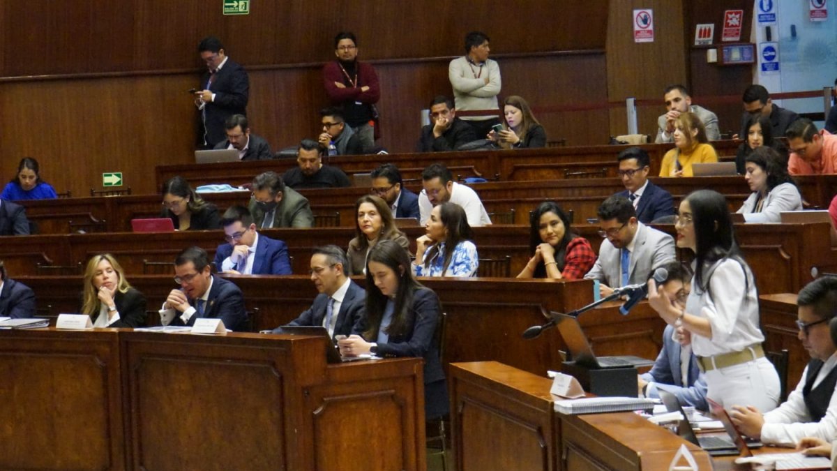 Viviana Veloz fue designada por Pedro Zapata (PSC), Rodrigo Fajardo (ID) y Mireya Pazmiño para que exponga los alegatos de la parte acusadora.