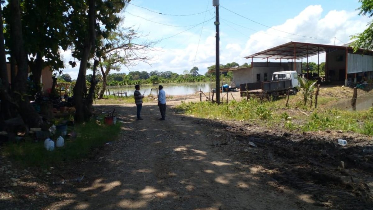 Moradores del sector habrían disparado contra uno de los pillos.