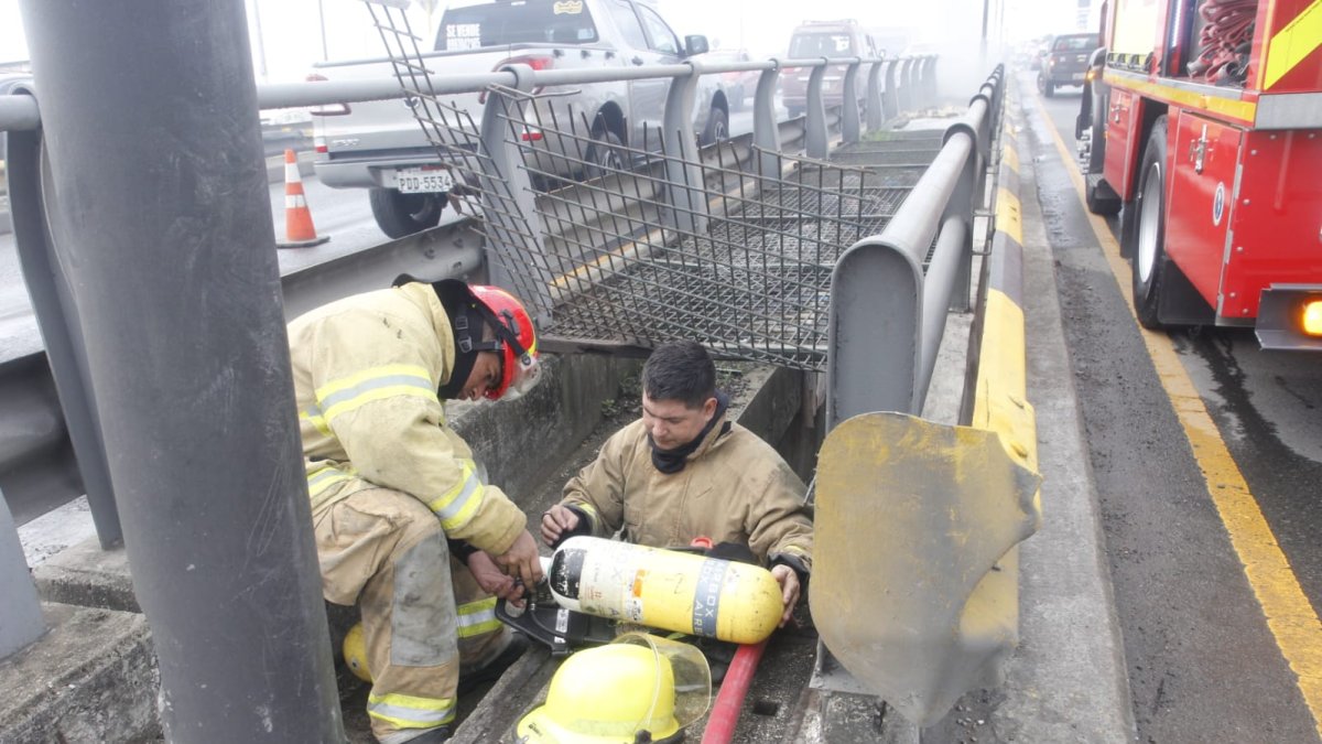 Incendio debajo del puente ubicado en la Av. Pedro Menéndez, en sentido norte - sur.