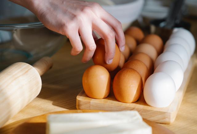 Carne Huevos Y Leche Son Esenciales En Una Dieta Sana Según La Fao 8543