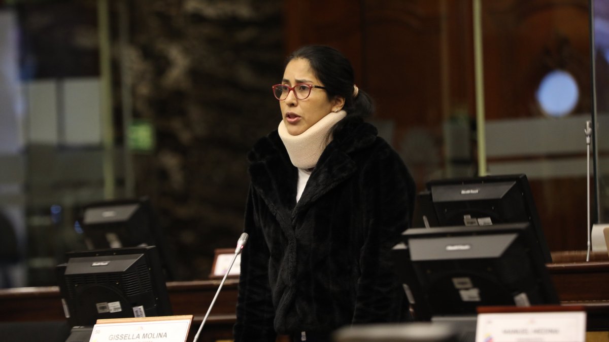 Víctima. El 12 de julio de 2022, Gissella Molina se presentó en el Pleno de la Asamblea y acusó al equipo del legislador Peter Calo de haber tratado de matarla.