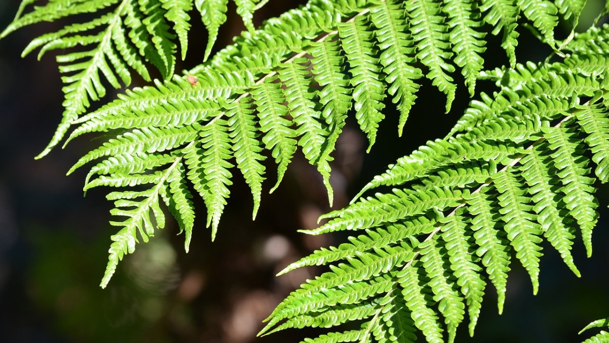 Imagen referencial para graficar este artículo.