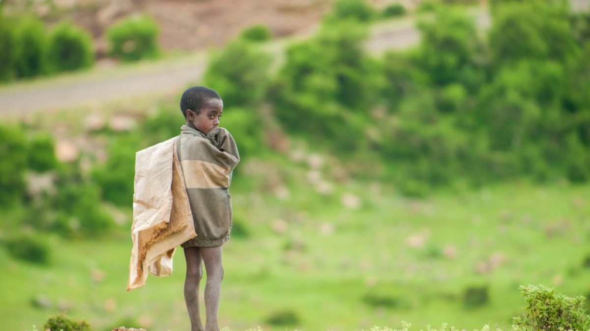 Hasta ahora se ha estudiado cómo el tipo de parto (natural o cesárea) modulan la transmisión del microbioma de madre a hijo