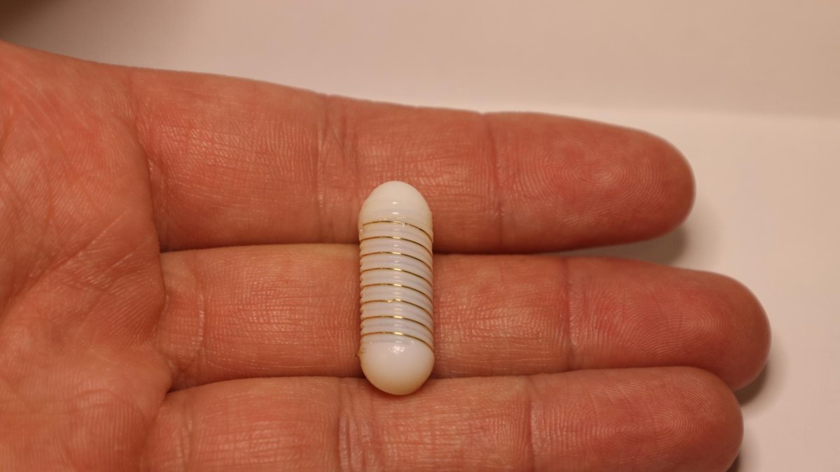 Avance. Así luce este nuevo dispositivo ingerible.