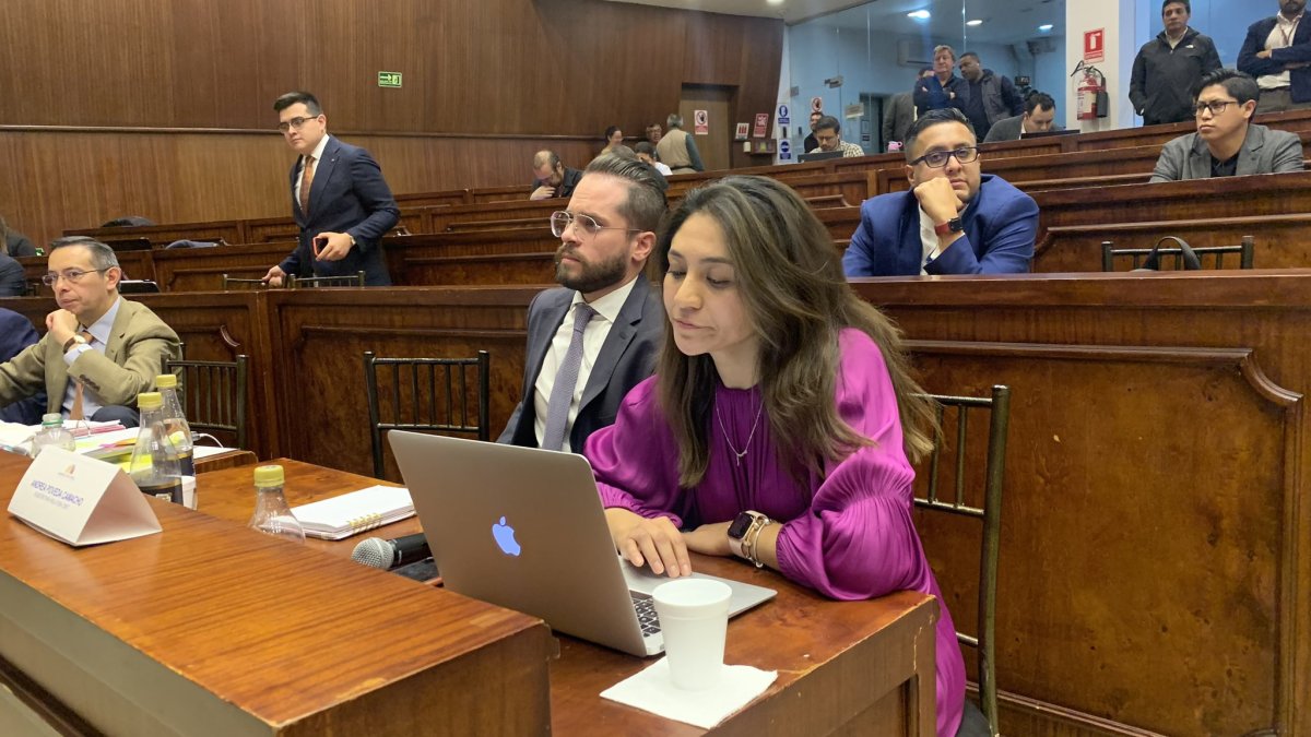 Rol. Andrea Poveda fue secretaria de la Comisión de Régimen Económico.