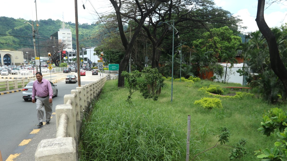 Quienes transitan por esta área deben acelerar el paso para evitar ser picados por los mosquitos.