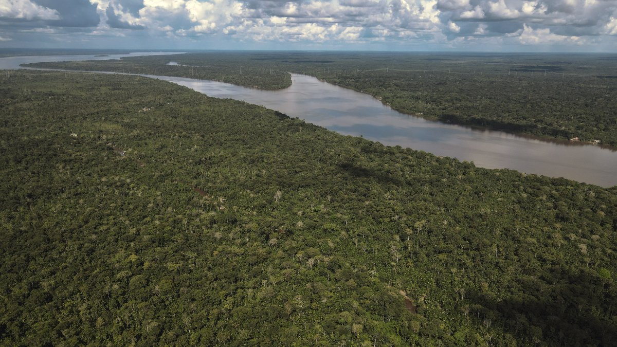 Fotografía aérea de archivo tomada con un dron una zona de la Floresta Amazónica, en el estado de Pará, norte de Brasil.