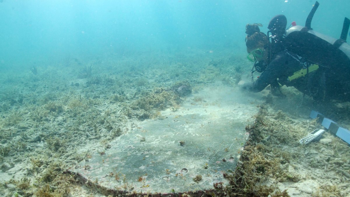 Un estudiante graduado de la Universidad de Miami (UM), Devon Fogarty, mientras examina la lápida de John Greer, encontrada bajo el agua  en el Parque Nacional Dry Tortugas en Florida (EE.UU.).  
