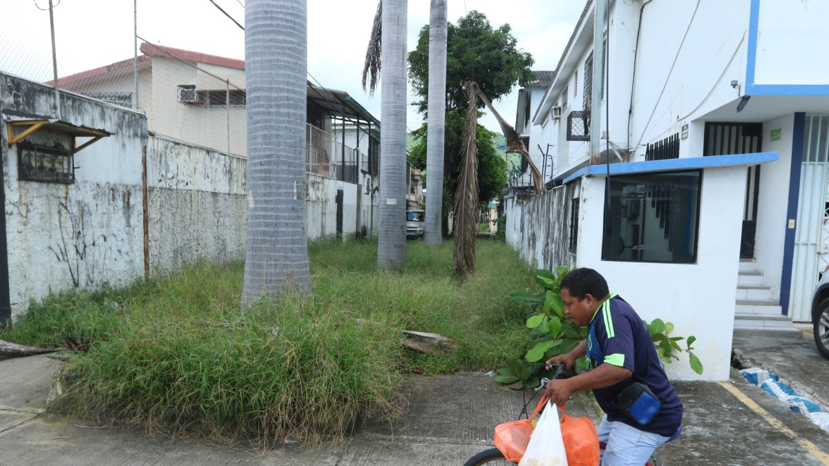 Transitar por las peatonales de la avenida Pérez Concha, de Urdesa, es un peligro.