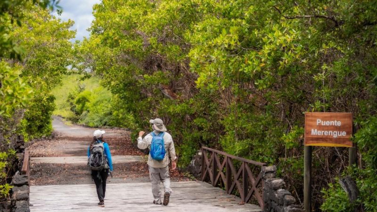 Los créditos buscan dinamizar al sector turístico.