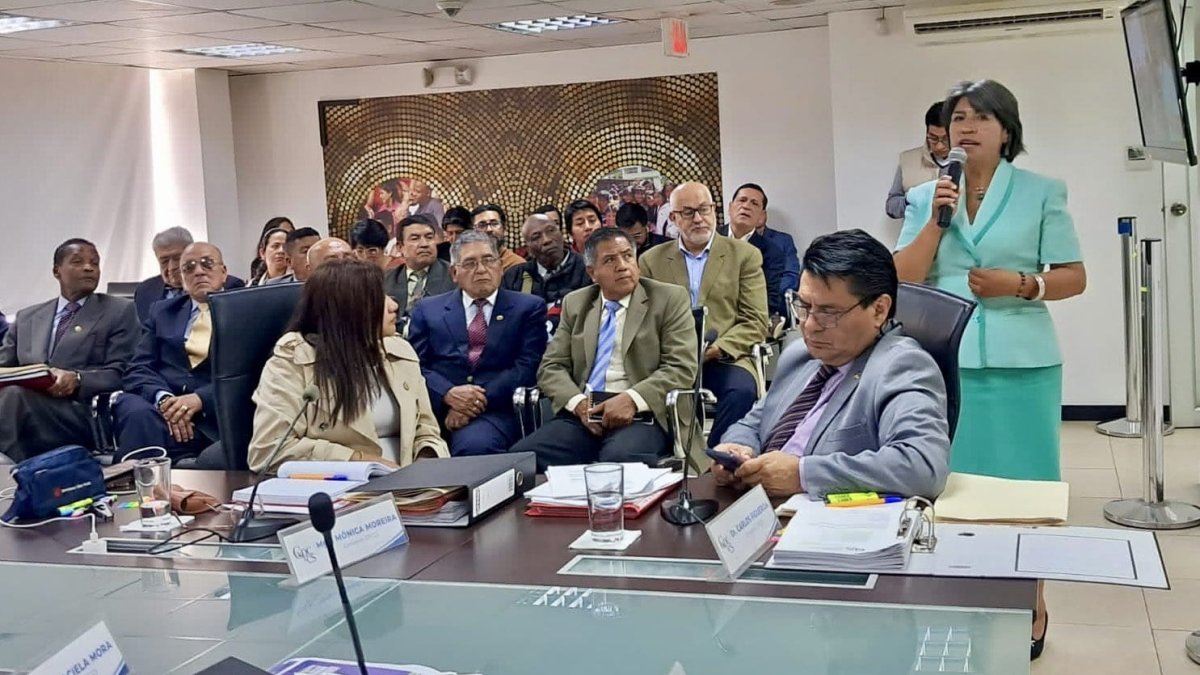 El Consejo de  Participación le 