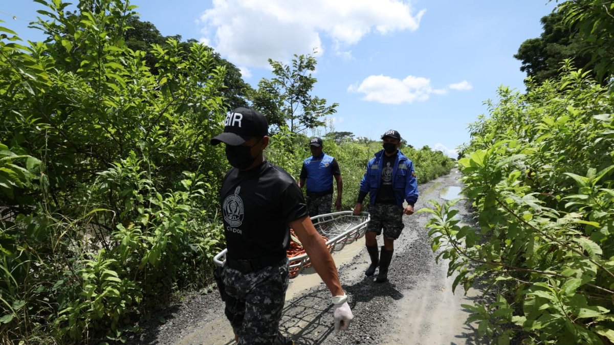 Los dos cadáveres podrían pertenecer a las cabezas halladas el pasado domingo 30 de abril