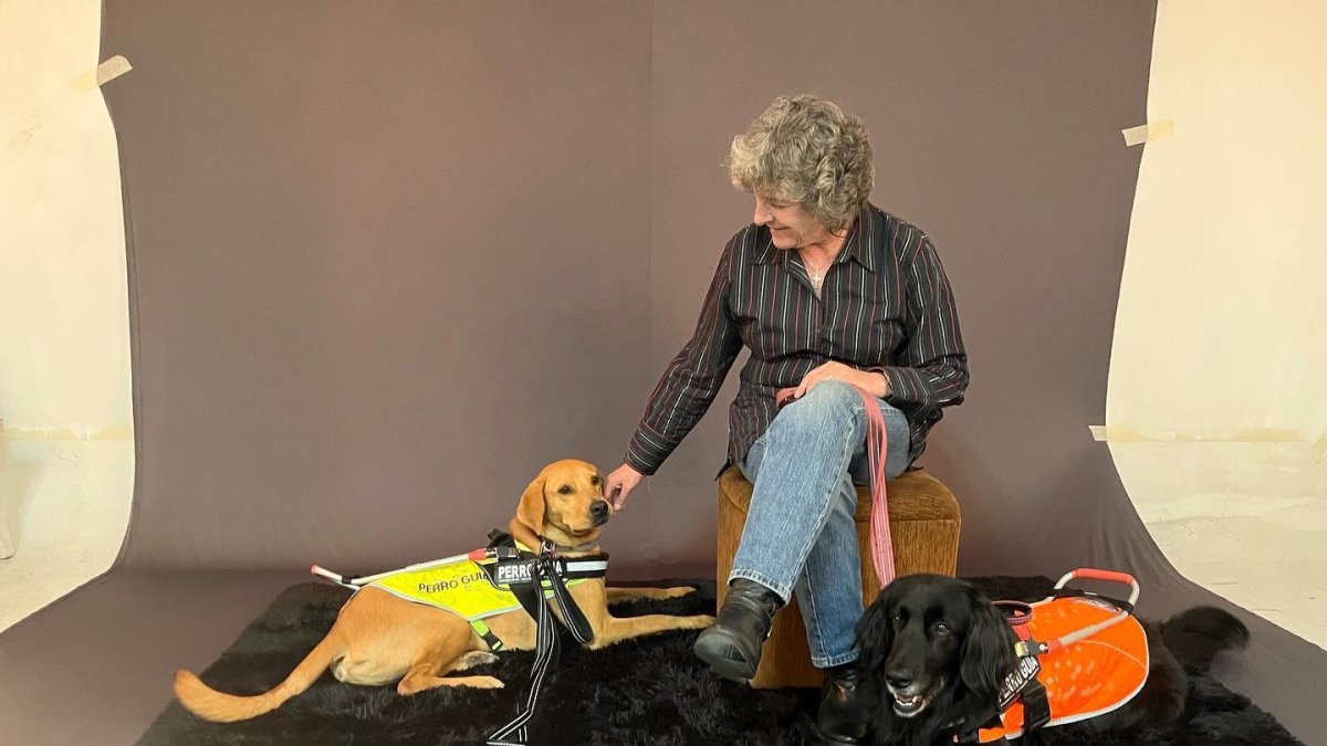 En Quito se encuentra la primera escuela dedicada a entrenar perros guías del país. Es una fundación sin fines de lucro.