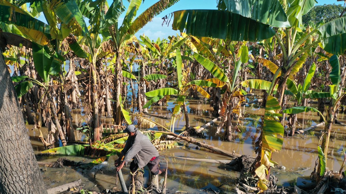 Las lluvias han golpeado a diferentes productores del país. El clima ha sido uno de los factores que deben considerar con más cuidado los agricultores en estos meses.