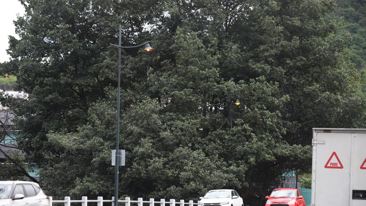 Situación. Las luminarias encienden durante el día.