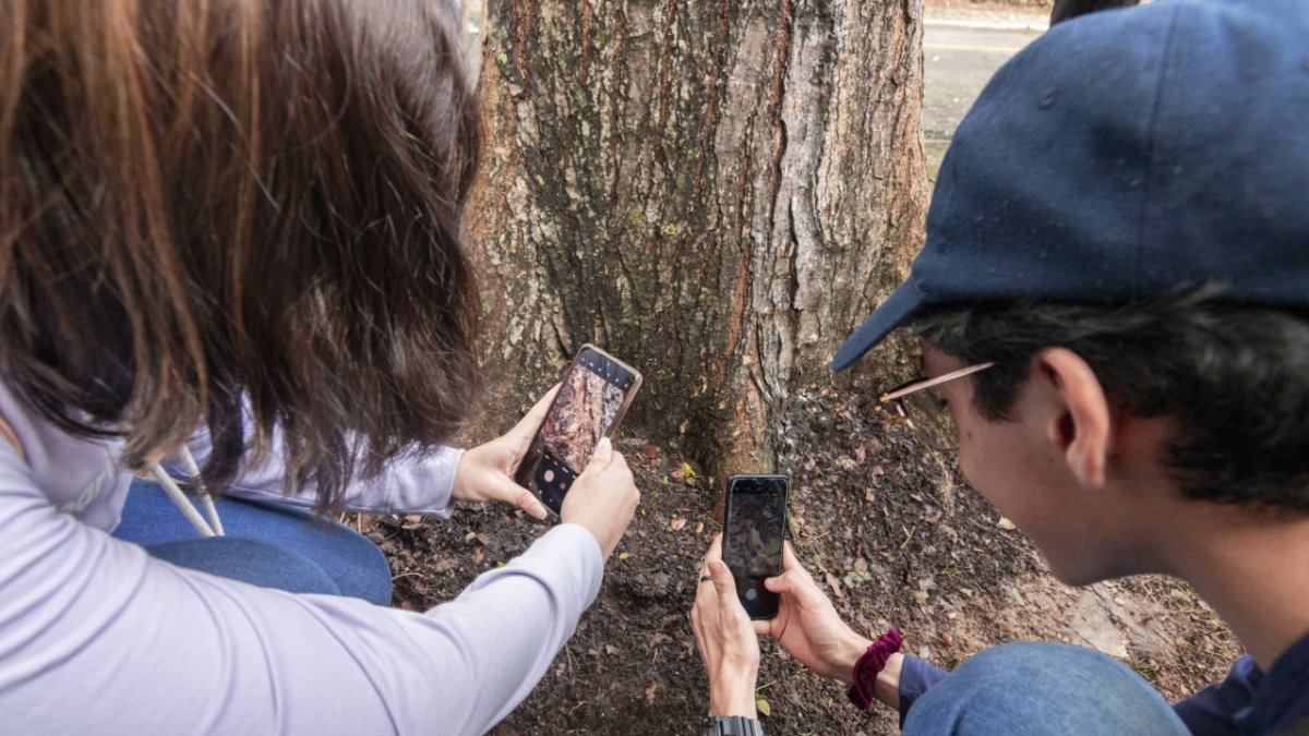 Los participantes tomaron fotografías de la flora y fauna en el Bosque Protector La Prosperina.