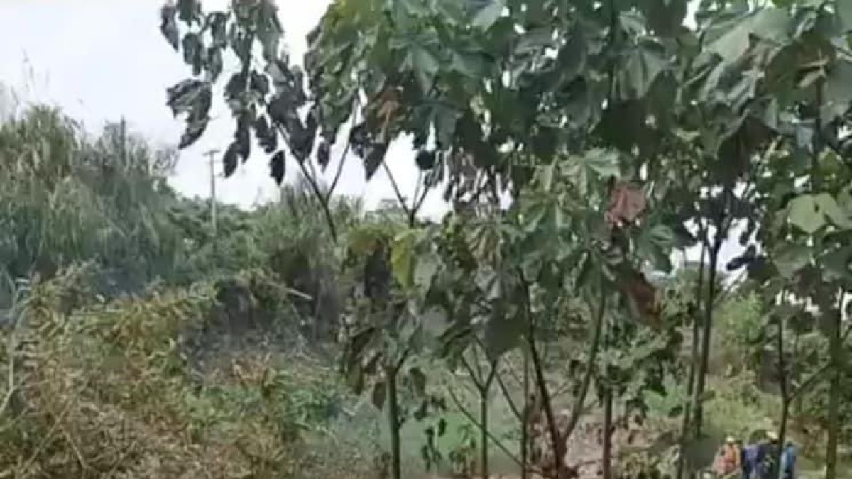 En el aparato iban tres personas, dos de ellas, incluido el piloto, murieron en el lugar