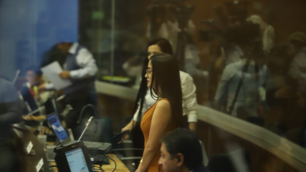 La asambleísta Viviana Veloz insinuó que el informe de la Comisión de Fiscalización sugiriendo no seguir con el juicio político se hizo en Carondelet.