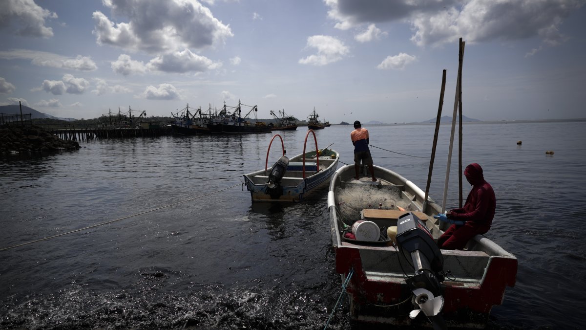 Panamá. Dos pescadores anclan su bote, durante una jornada de faena más en Puerto Caimito.