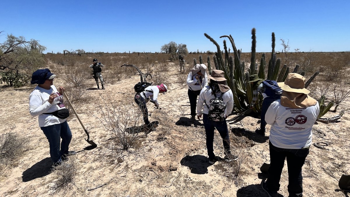 Mujeres que integran el colectivo Madres Buscadoras de Sonora, buscan restos humanos en una fosas clandestinas el 8 de mayo de 2023, en Hermosillo en Sonora (México).