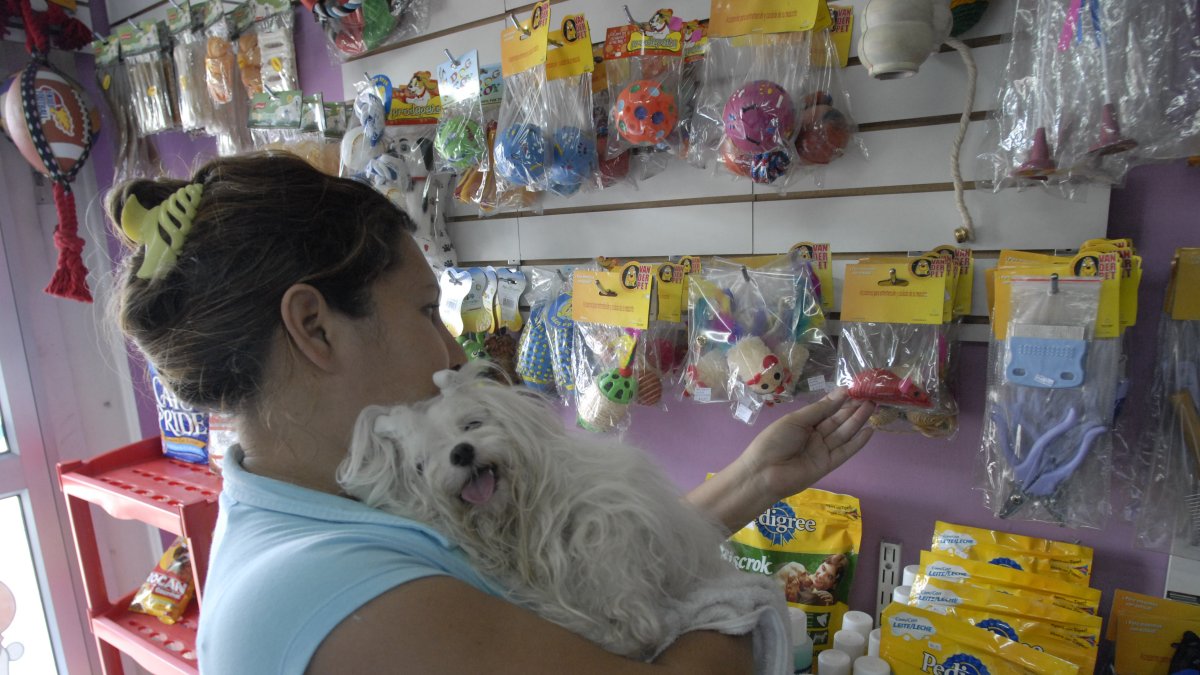 La reforma incorpora por primera vez este beneficio.