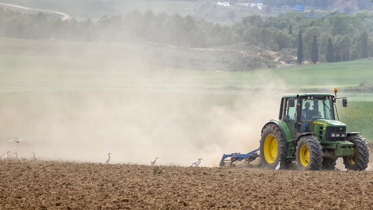 Un agricultor labra con tractor la tierra, donde la escasez de lluvias y las altas temperaturas provocan una gran polvareda, en Logroño.