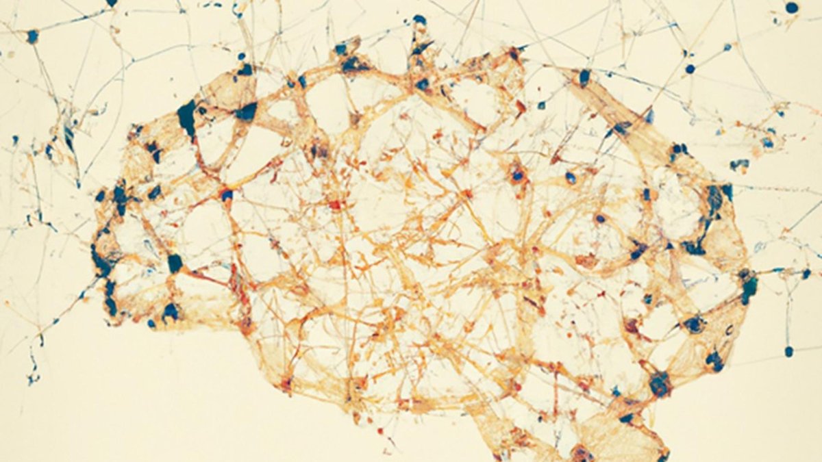 Los síntomas de la esquizofrenia suelen comenzar entre los 16 y 30 años. I