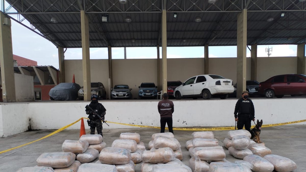 Hallazgo. El destino de los alcaloides era Bélgica.