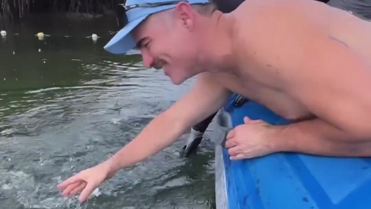 Captura de pantalla del video que generó polémica. Al editarlo se cortó todo el contexto real del mismo.