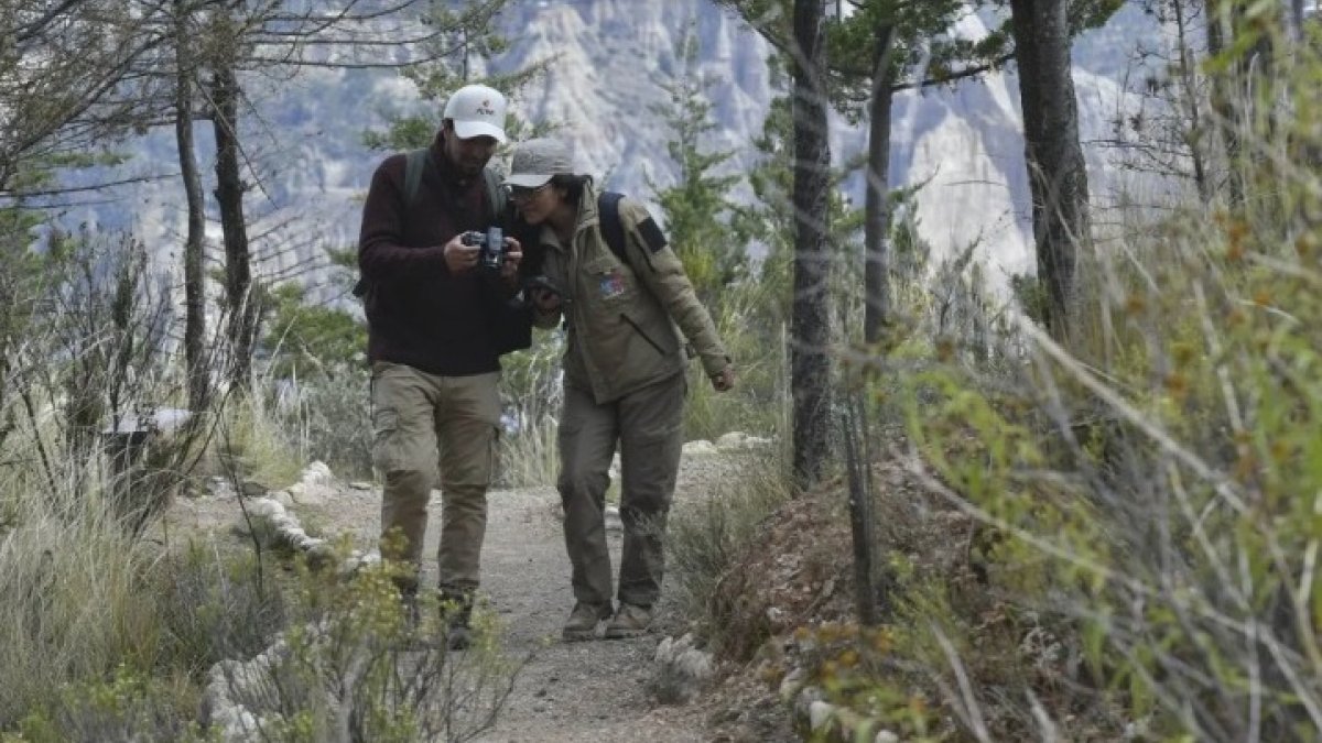 El reto en general acumuló 1.870.763 observaciones, más de 57.000 especies registradas y 66.394 participantes en los 46 países.