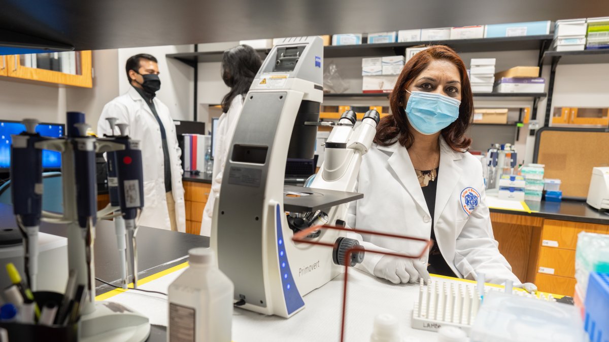 Florida. Una investigadora analiza muestras para una de las investigaciones que se desarrollan en la Universidad de Florida (EE. UU.)