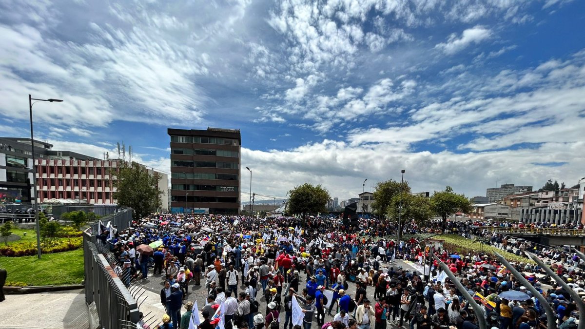 Cada vez más simpatizantes de Lasso llegan hasta a la Asamblea.