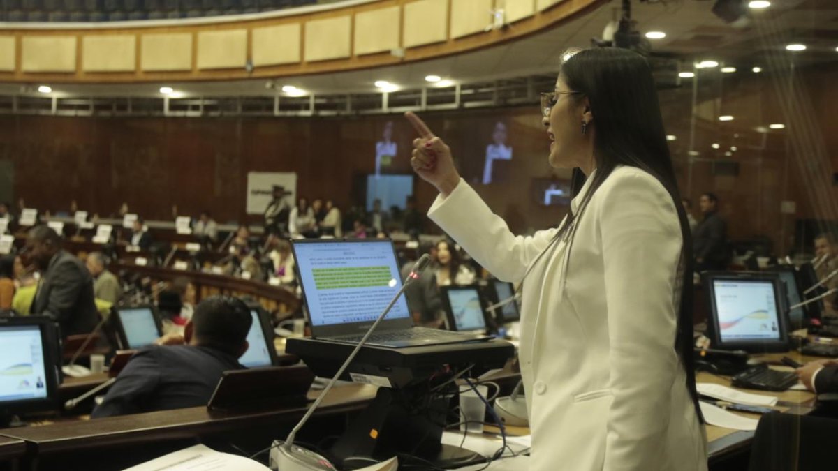 Viviana Veloz, legisladora interpelante del mandatario, argumentó la imputación de peculado.