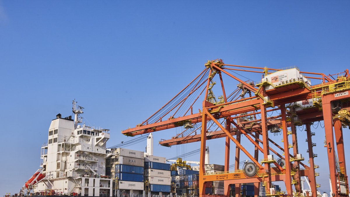 Envíos. A través de esta terminal sale el 57 % de fruta exportable.