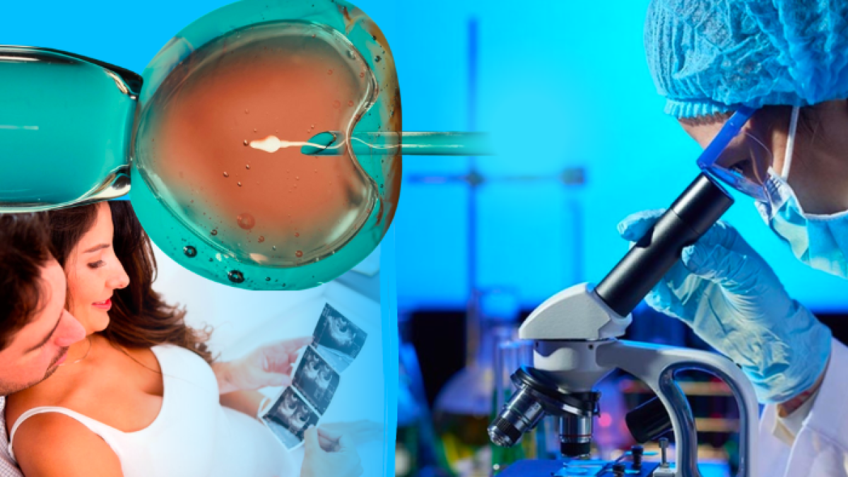 Con el ICSI es posible hacer realidad de muchas parejas de ser padres