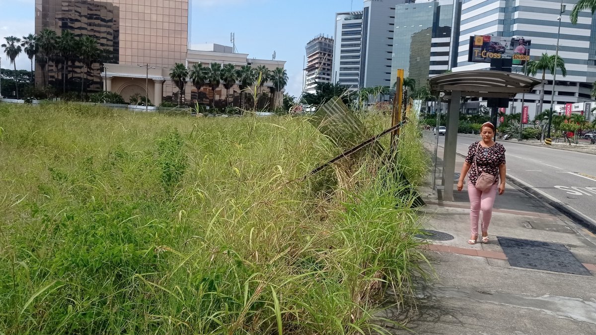 Problema. El monta ya topa con las estructura de un paradero.