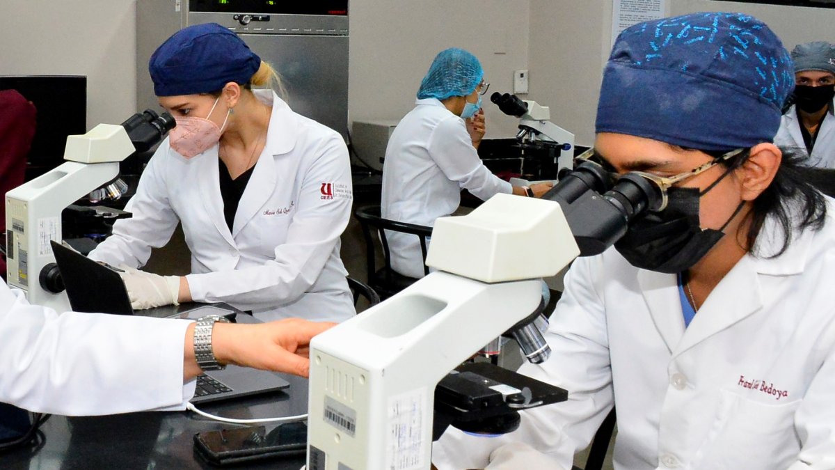 Las universidades públicas y privadas crearon centros de diagnóstico y de secuenciación del virus.