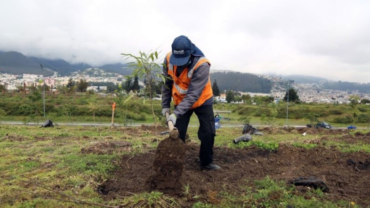 La academia participa activamente en el cuidado ambiental.