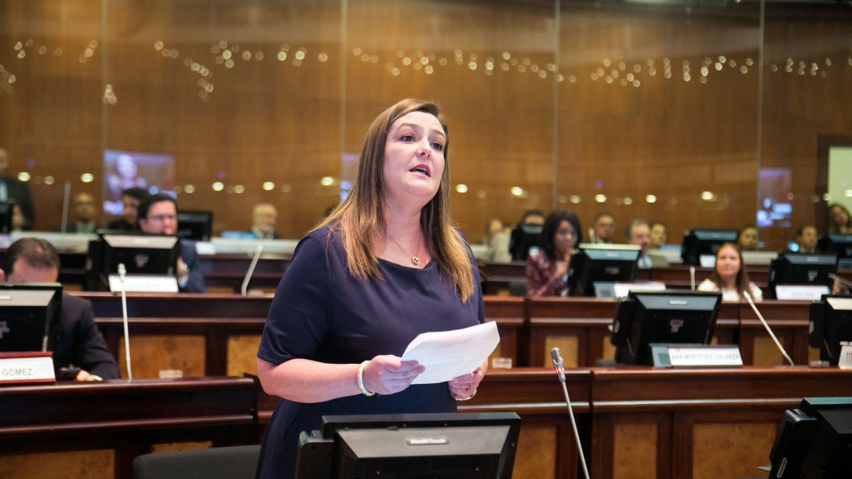 Cargo. Lourdes Cuesta, exasambleísta del movimiento CREO.