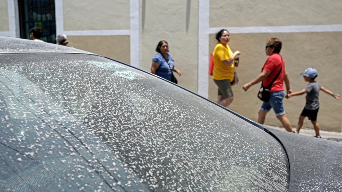 Hecho. Ceniza sobre el parabrisas de un vehículo debido una serie de explosiones registradas por el volcán Popocatépetl, hoy, en el municipio de Atilxco en Puebla (México).