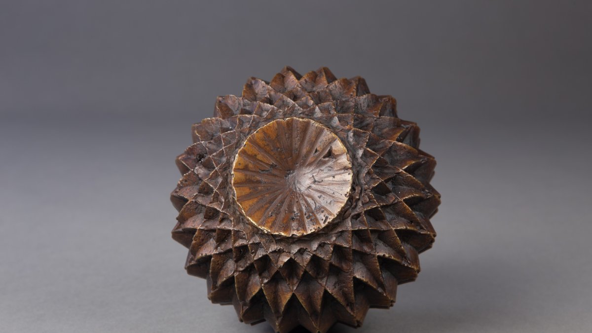 Arte. La muestra abrió sus puertas en la galería N24 de la capital.