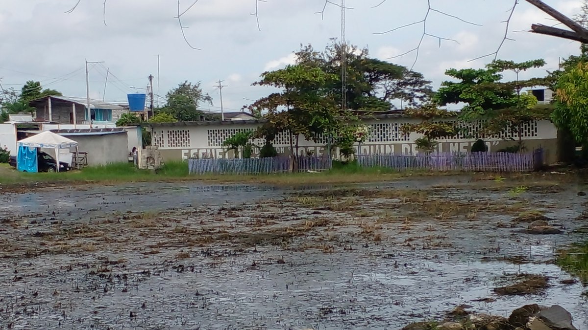 La escuela fiscal José Joaquín de Olmedo, del recinto Las Maravillas, del cantón Daule, sufre los efectos de las inundaciones causadas por las lluvias.