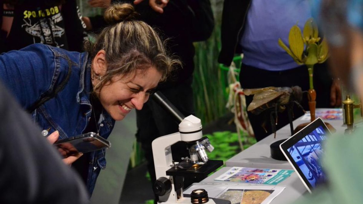 Una mujer observa a través de un microscopio durante el lanzamiento de la Semana de la Ciencia, este 23 de mayo de 2023 en Montevideo (Uruguay).