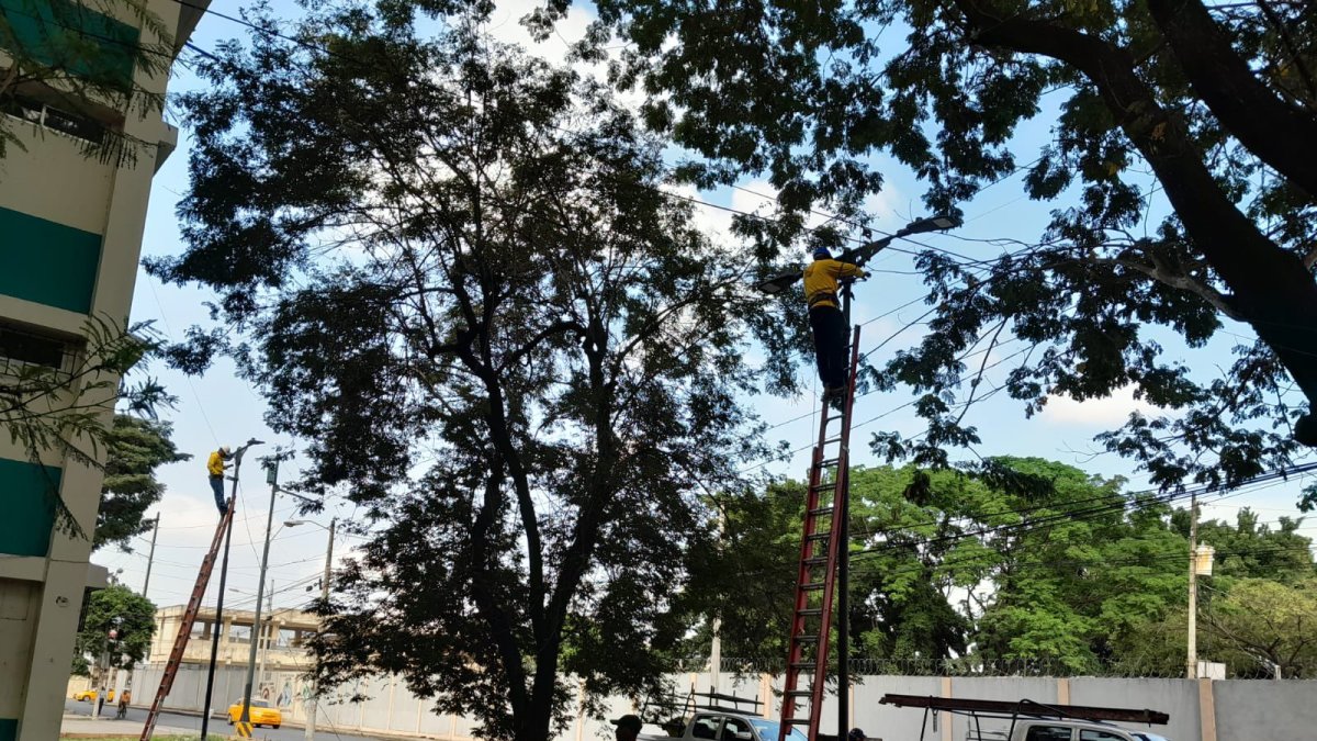 Solución. Las reparaciones de las luminarias devolvieron la luz al barrio.