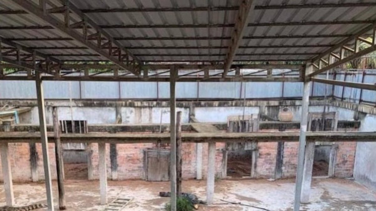 La imagen muestra la granja en la que un hombre murió atacado por los cocodrilos de su criadero.