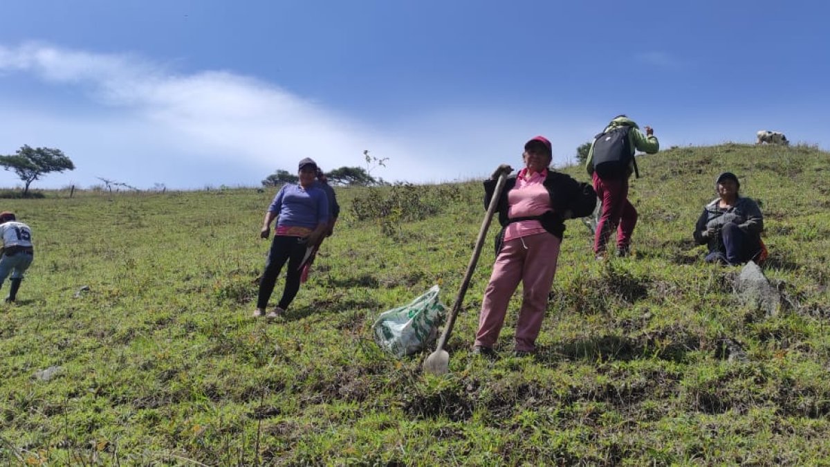Cooperación. Comuneros y autoridades de varias zonas se unieron a las jornadas de reforestación.
